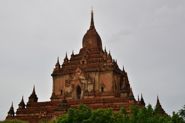 Fototapeta premium TEMPLE DE DHAMMAYANGYI BAGAN MYANMAR (Birmanie)