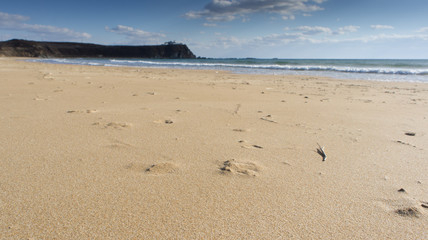 The sandy beach of the sea of Japan on the shores of the Primorsky territory