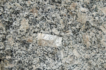 Feldspar crystal in granite like rock