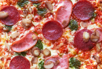 Pizza - Closeup