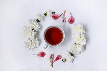 Cup of black tea in a circle of white chrysanthemums on a white background