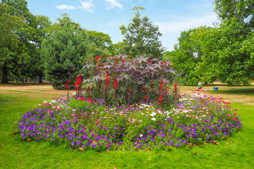 Big and beautiful variegated flowerbed in Greenwich Park, London with an unidentified wooman sunbathing in the background on a sunny summer day.
