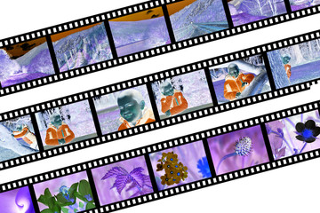 pellicule photo négatif planche contact