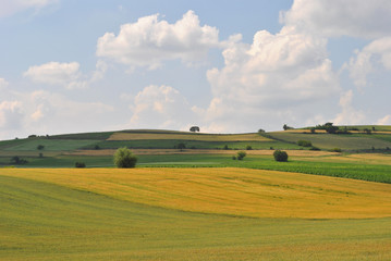 Fototapeta na wymiar Colorful wavy fields; lanscape background.