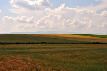Obraz premium Colorful fields in spring; landscape background.