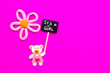Baby Girl - bear and flower on pink background with It's a Girl blackboard sign
