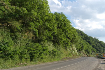Road, landscape