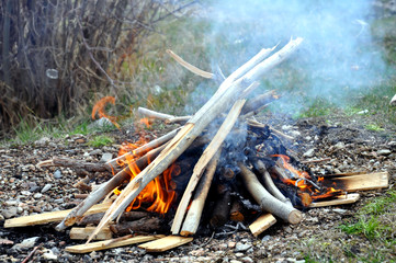 Obraz premium fire on picnic