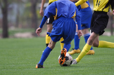 Fototapeta premium Piłka nożna