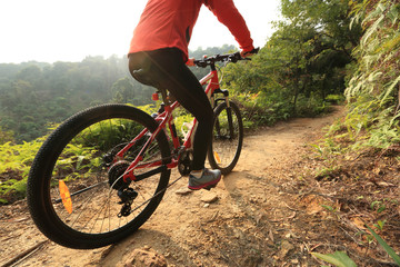 Fototapeta na wymiar riding mountain bike on sunrise forest trial