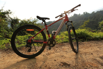 Fototapeta na wymiar riding mountain bike at sunrise forest trail