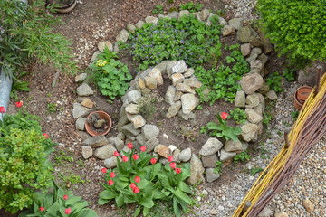 Permaculture element - herb spiral in early spring - obrazy, fototapety, plakaty