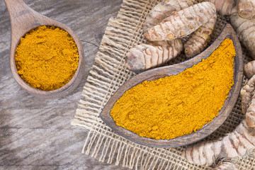 Roots and turmeric powder (Curcuma longa)
