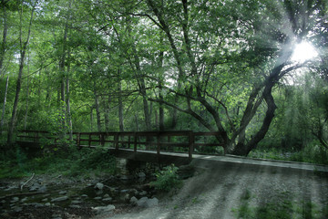 Obraz premium Puente de madera cruzando el río y los rayos del sol brillando al fondo