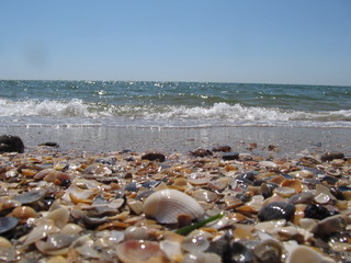 Fototapeta na wymiar Beach and waves on the Black Sea, Odessa