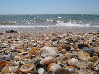 Beach and waves on the Black Sea, Odessa