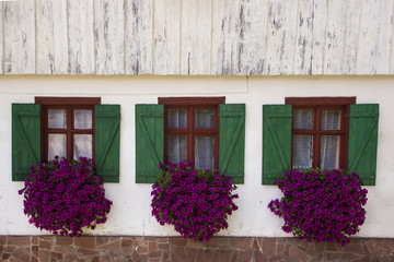 Windows of a mountain cottage house decorated with blooming flowers
