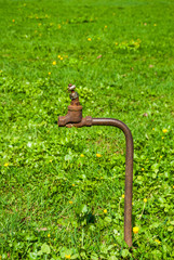 A rusty old water pipe with a tap on the lawn for watering