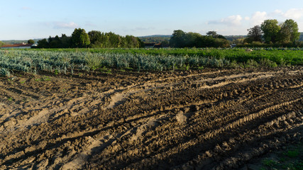 Fototapeta na wymiar French landscape, fields in Auvers-sur-Oise