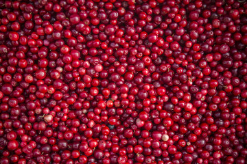 Cowberry prepared for sale