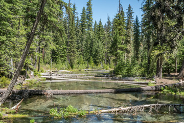 Colorado