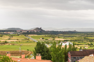 Fototapeta na wymiar aerial views to la rioja vineyards, Spain