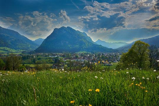 Blick &uuml;ber eine Blumenwiese auf Pfronten im Allg&auml;u und Berge im Hintergrund