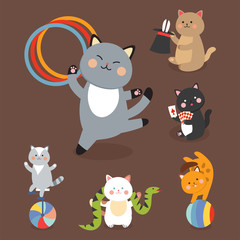 Circus cats vector cheerful illustration for kids with little domestic cartoon animals playing mammal