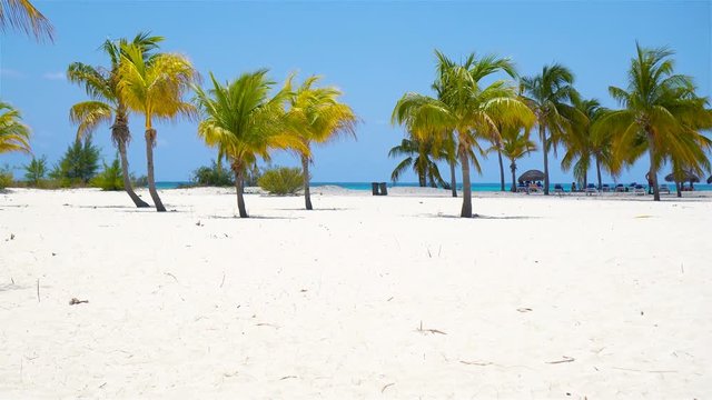 Palm trees on white sand beach. Playa Sirena. Cayo Largo. Cuba.