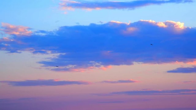 Airplane and seagulls flying at sunset. Sardinia, Italy