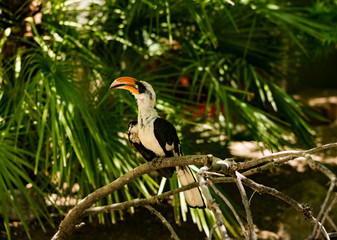 Charles Paddock Zoo Animals