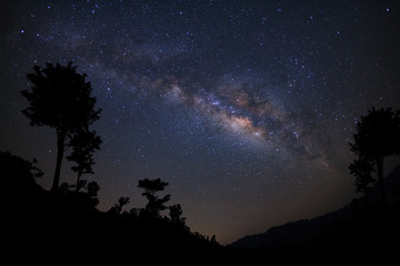 Landscape with milky way, Night sky with stars and silhouette of tree, Long exposure photograph, with grain.