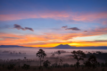 Landscape morning sunrise at Thung Salang Luang National Park Phetchabun,Tung slang luang is Grassland savannah in Thailand