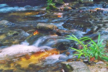 Small waterfall  ,stream running water over the rock