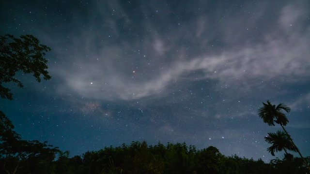 4k time lapse of milky way rising from horizon above tree tops with cloudscape movement.