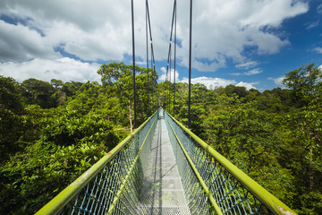 View of a bridge over the top of trees