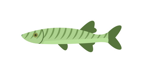 Green river fish icon. Natural fresh food, healthy food vector illustration isolated on white background in flat design.