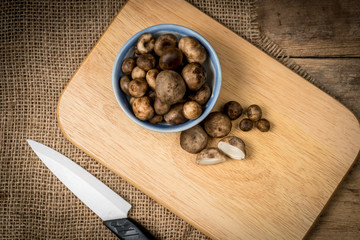 Slice barometer earthstar