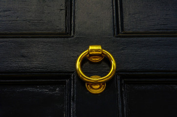 Door with brass knocker in the shape of a decor, beautiful entrance to the house