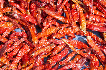 The dried chili in closeup scene.Hot and spicy ingredient.