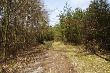 Schneverdingen - Zugang zu einem Naturschutzgebiet