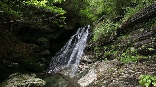 程野の滝　大樽の滝（高知県いの町）　左パン