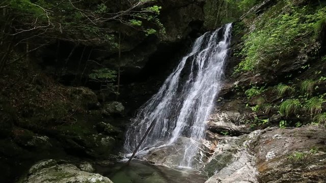 程野の滝　大樽の滝（高知県いの町）　フィックス