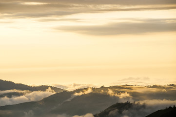 Andes, Bolivar Province, Ecuador, near the inactive stratovolcano Chimborazo in Reserva de Produccion Faunistica Chimborazo, in the Cordillera
