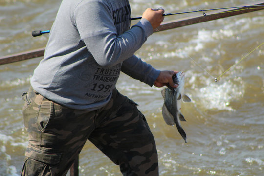 Fishing From The Riverbank