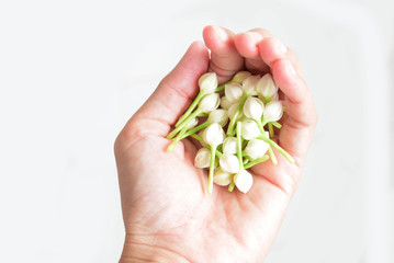 Gardenia crape jasmine artificial garland on female hand, isolated.