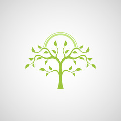 Abstract tree vector logo design template.