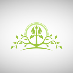Abstract tree vector logo design template.
