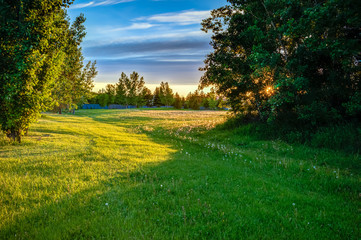 Obraz premium Oleskiw park