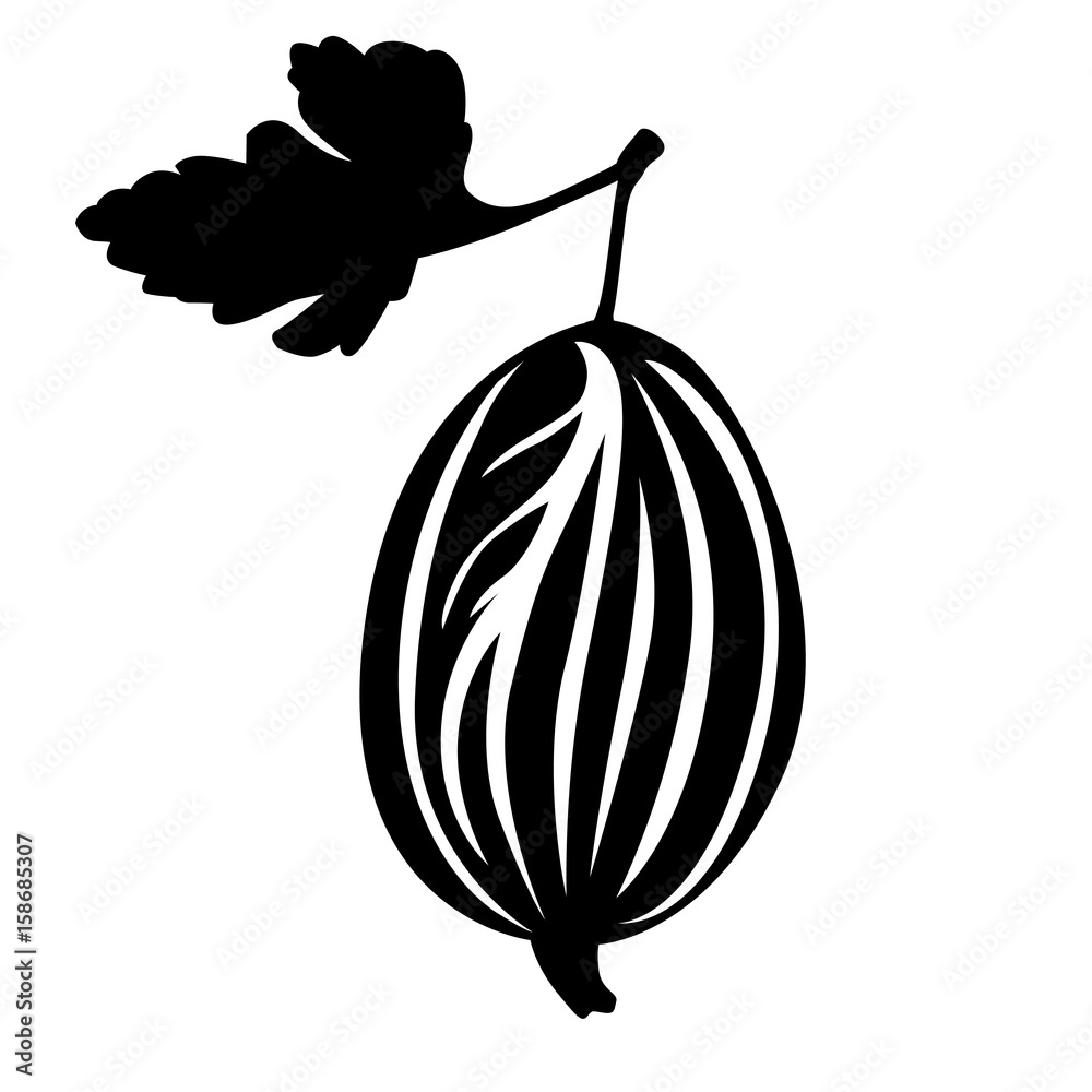 Sticker Gooseberry and leaf image